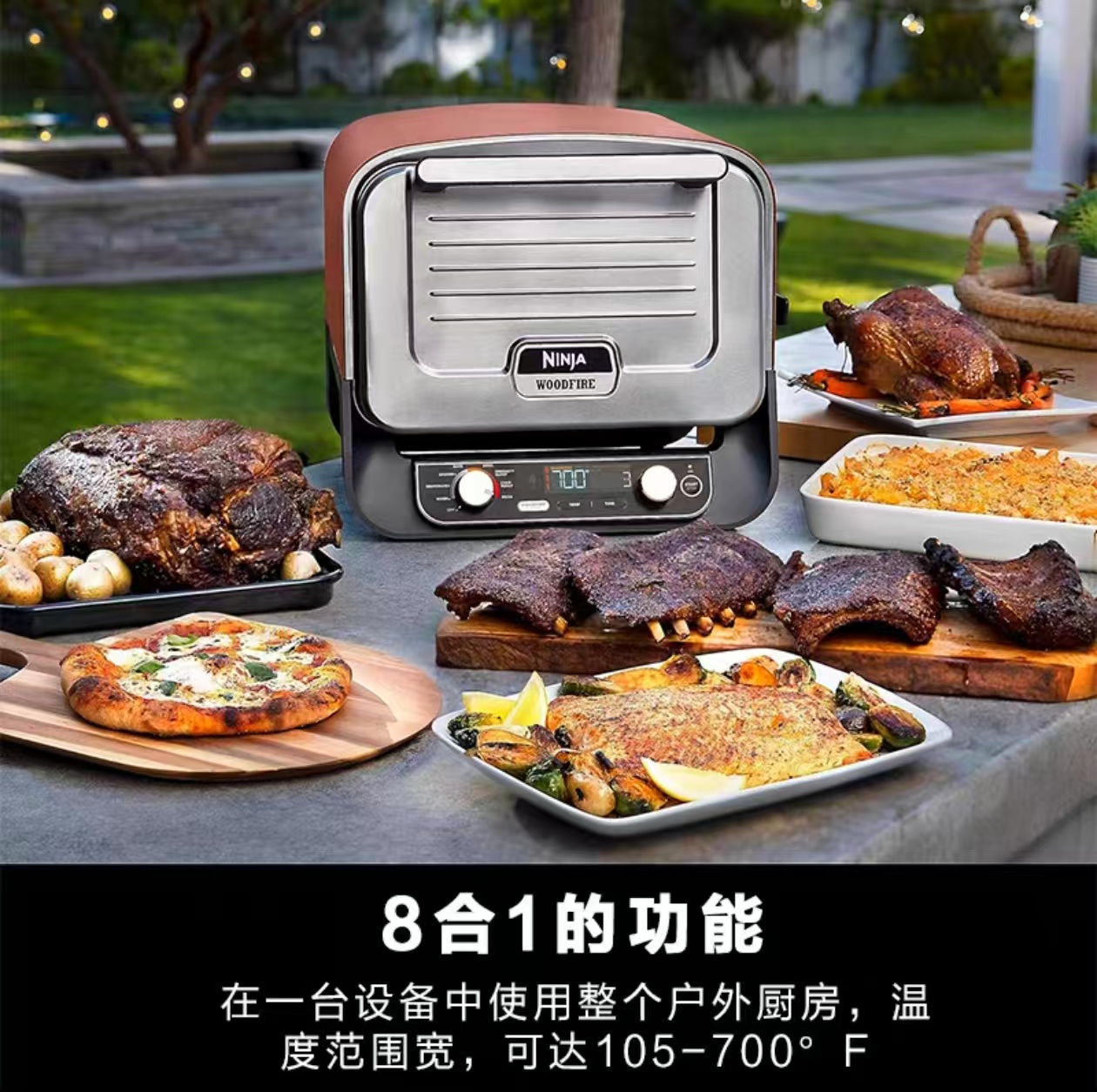 2026 Outdoor Pizzaofen für Ele – Camping Cooking Ovens Bewertung und Preis